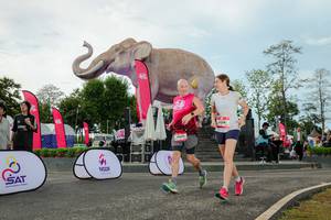 BIB: 
                            <button type="button" onclick="openModal(26529036)" class="btn btn-primary btn-sm float-right btn-popup" data-toggle="modal" data-target=".modal-high-quality">
                        <i class="fas fa-shopping-cart"></i> Add to Cart
                    </button>
                                            <button type="button" onclick="isThisMe(26529036, true)" class="btn btn-success btn-sm float-right btn-popup btn-isme hidden" data-toggle="tooltip" data-placement="bottom" title="นี่คือรูปของคุณใช่ไหม คลิกที่นี่เพื่อเอาเข้าอัลบั้ม">
                        <i class="fas fa-plus"></i> Add to album
                    </button>
                    <button type="button" onclick="isThisMe(26529036, false)" class="btn btn-warning btn-sm float-right btn-popup btn-isnotme hidden">
                        <i class="fas fa-ban"></i> Remove from album
                    </button>